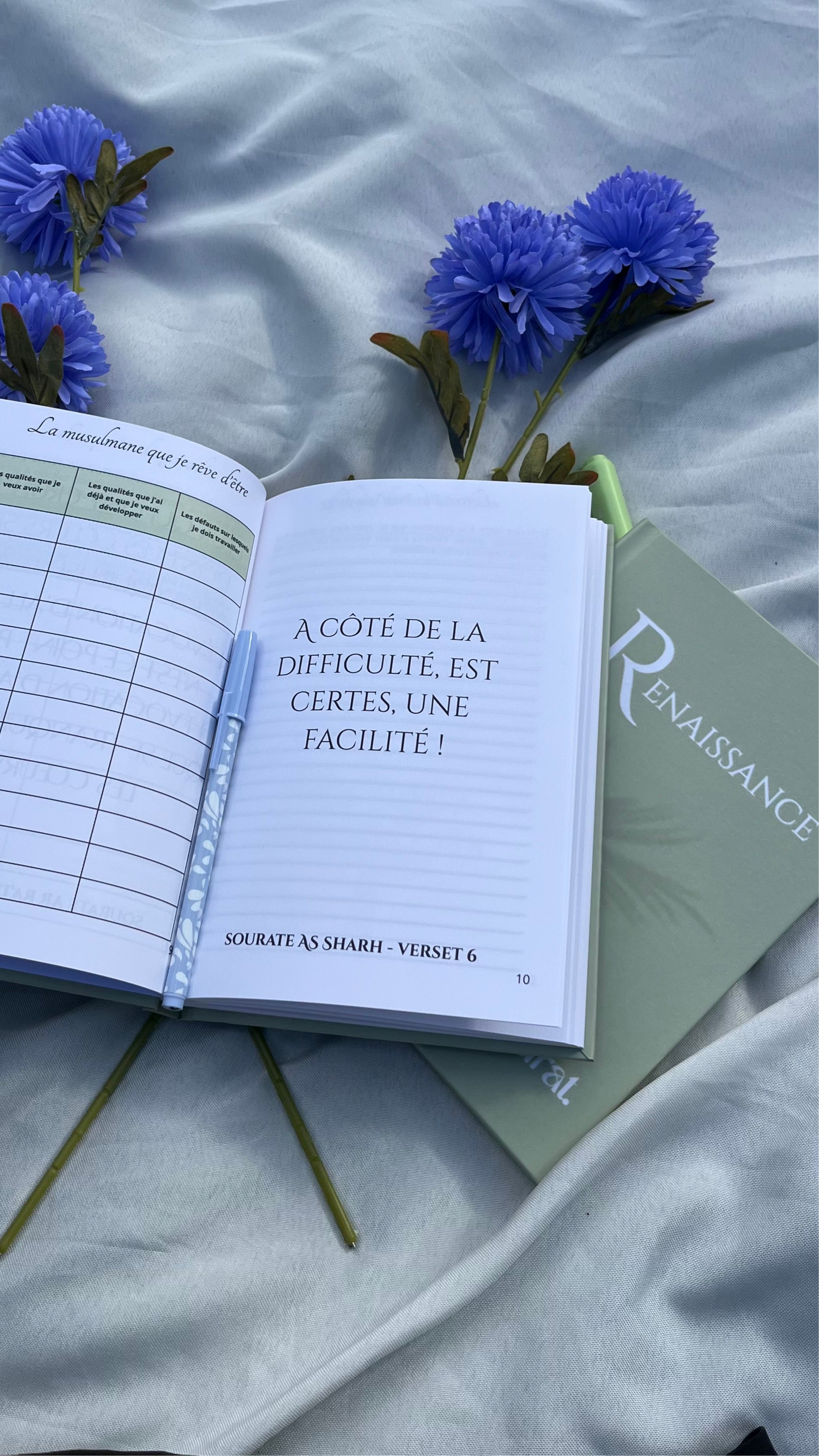 Carnet Renaissance.