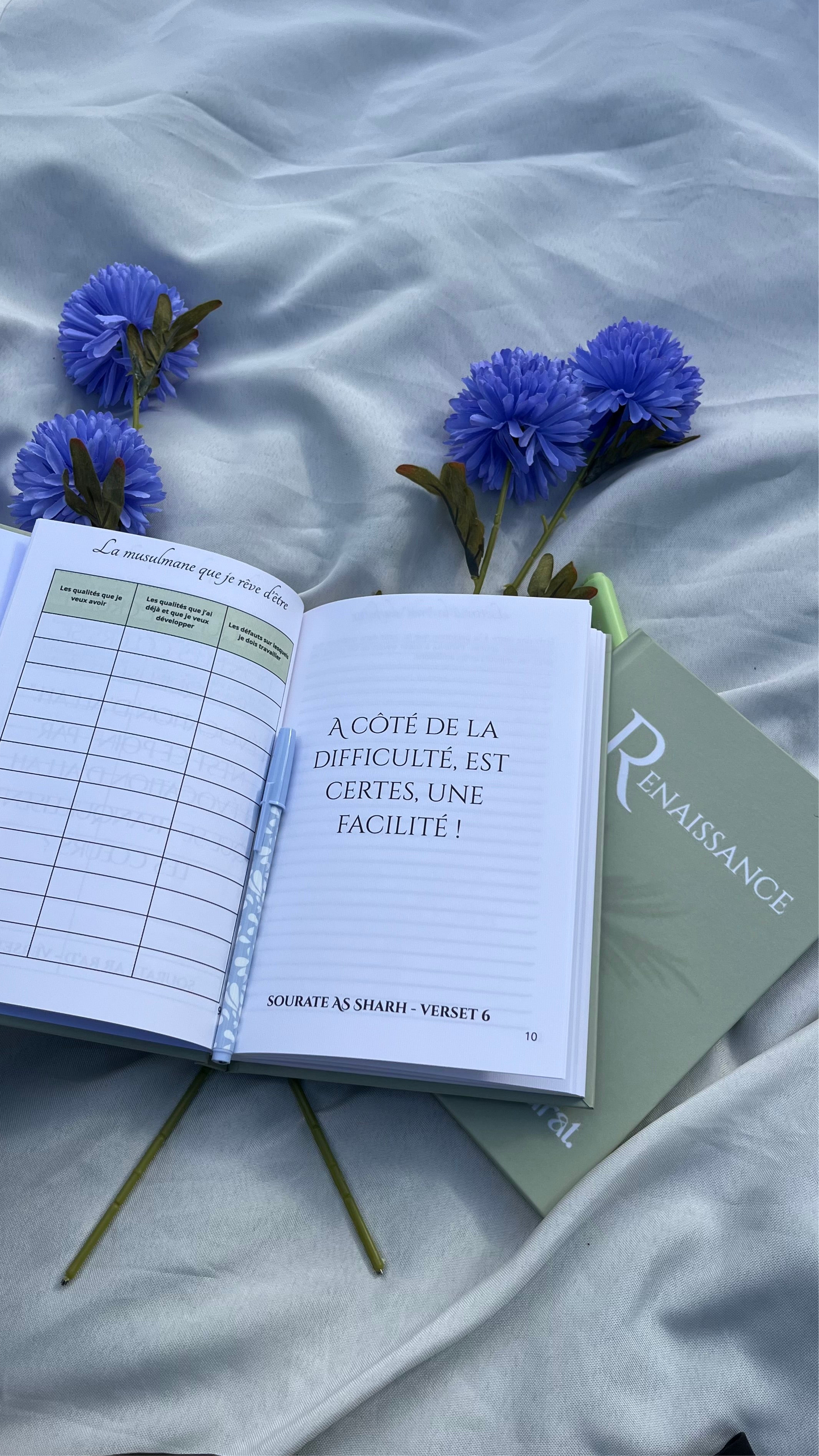 Carnet Renaissance.